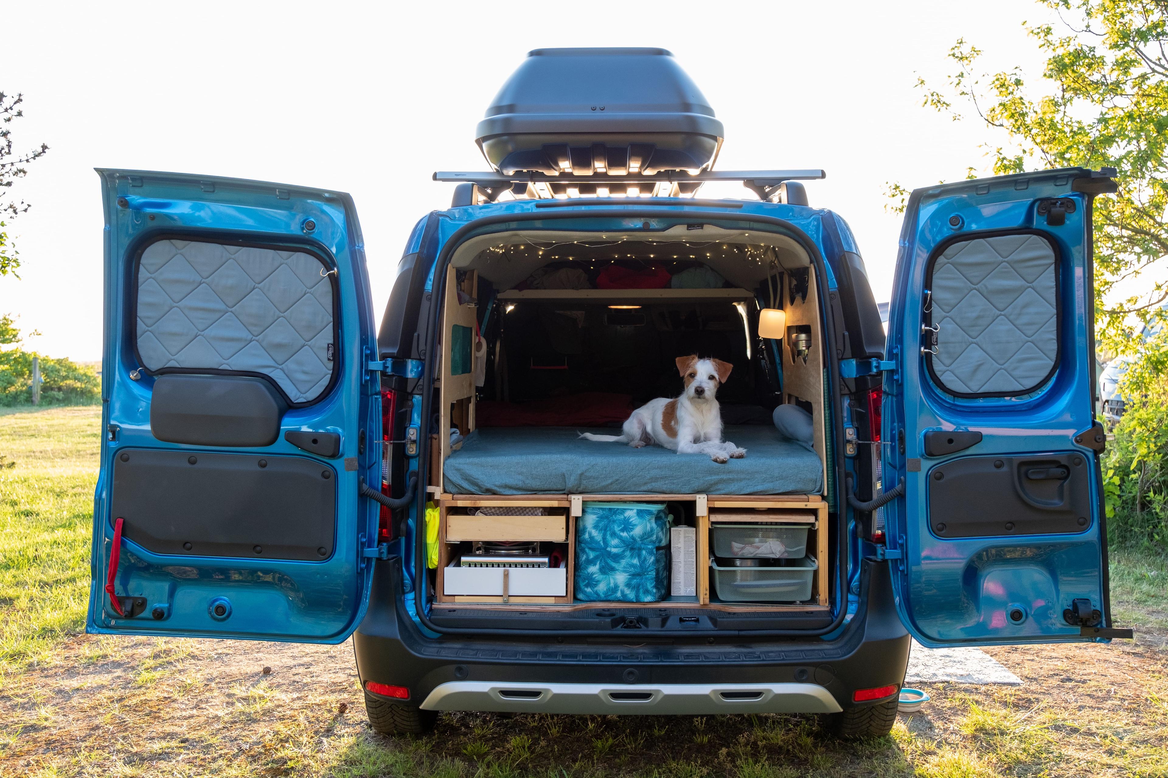 Organized In The Outdoor - Progressive