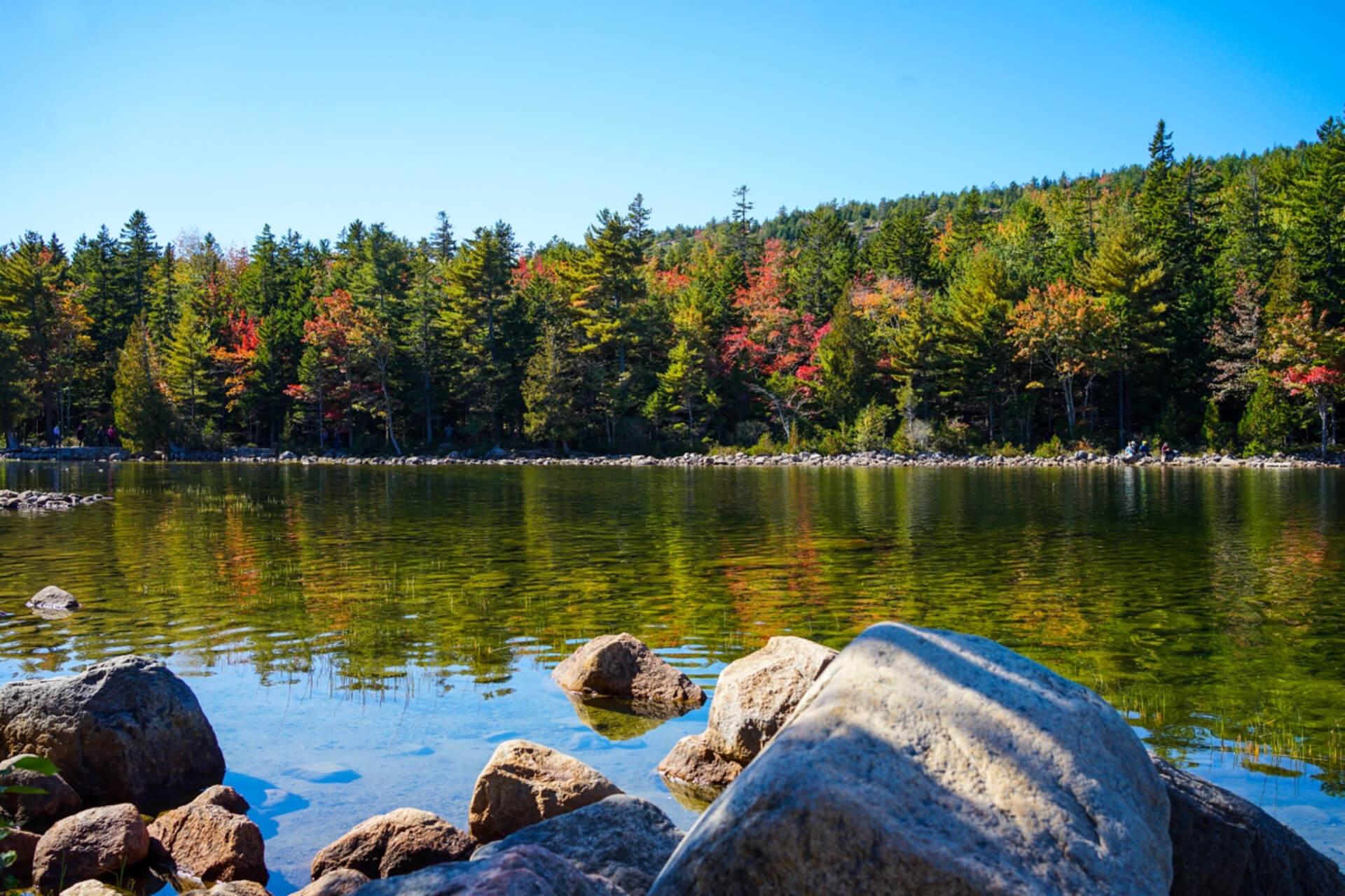 Camping: Acadia National Park