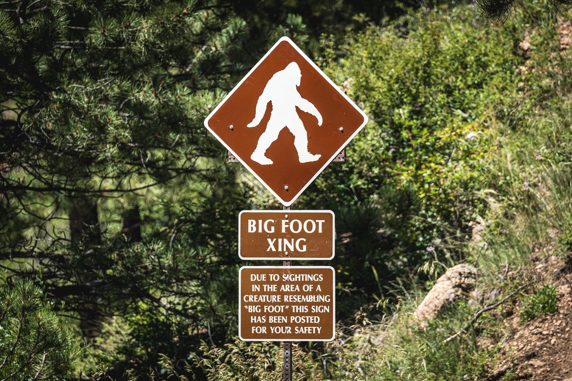 Big Foot Crossing