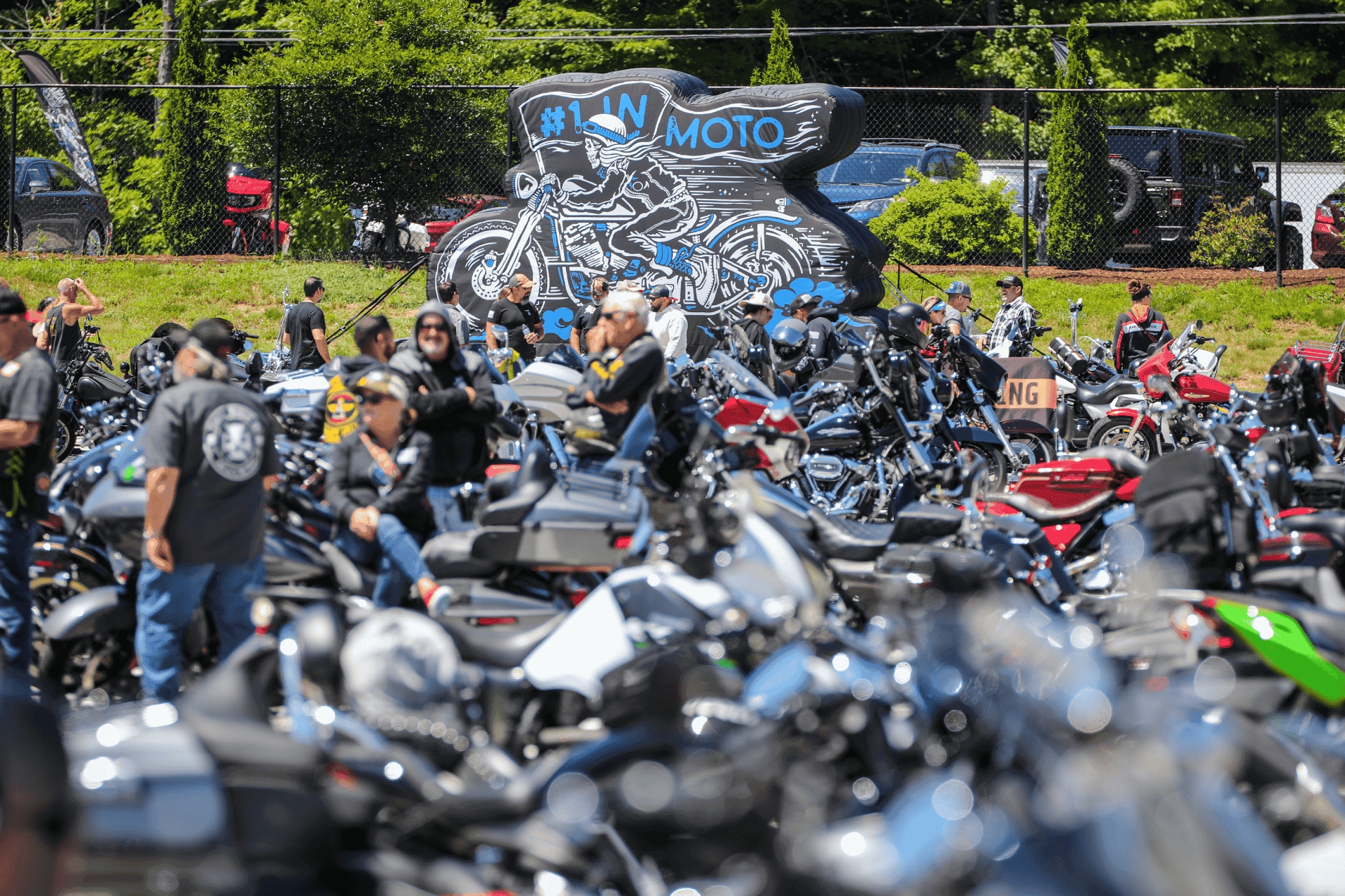 Top 10 reasons to rally